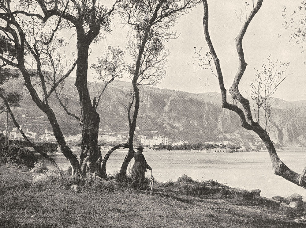 ALPES- MARITIMES. La Baie de Beaulieu Vue a Travers Les Oliviers 1900 print